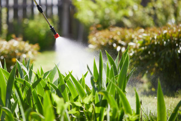Tamper-Resistant Bait Stations for Rodents in North Chicago