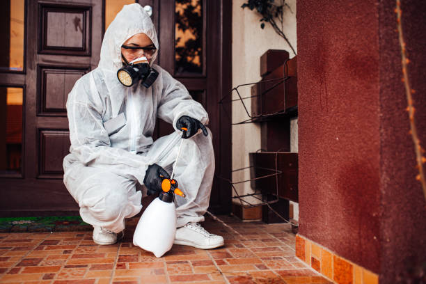 Attic and Crawl Space Rodent Treatment in North Chicago