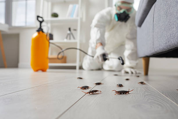 Commercial Rodent Management in North Chicago
